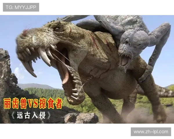 芬兰新星米埃洛宁挑战捷克老将索尔，年轻力量与经验对决